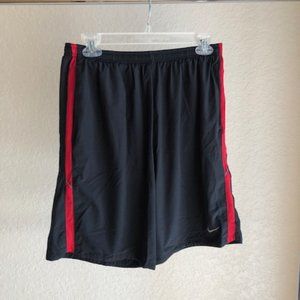 Nike Men's Dri-Fit Training Shorts Size Large